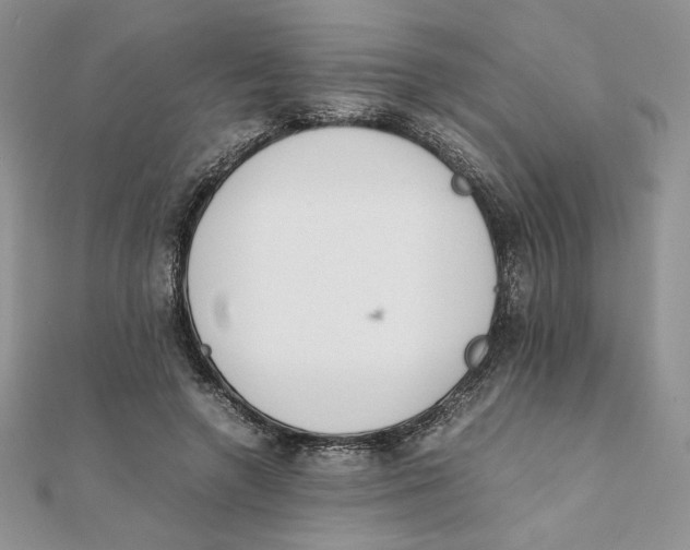 X0000111430546200908031334