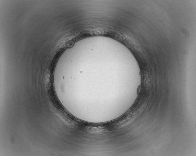 X0000111430548200908031334