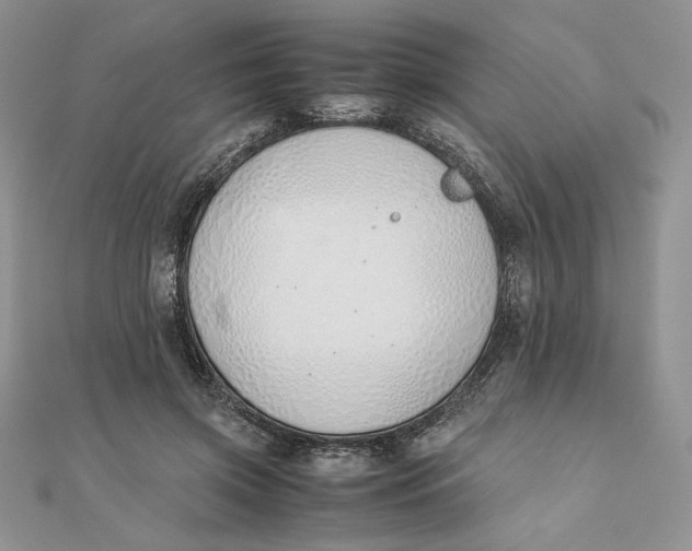 X0000111430549200908031334