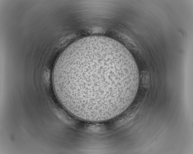 X0000111430550200908031334