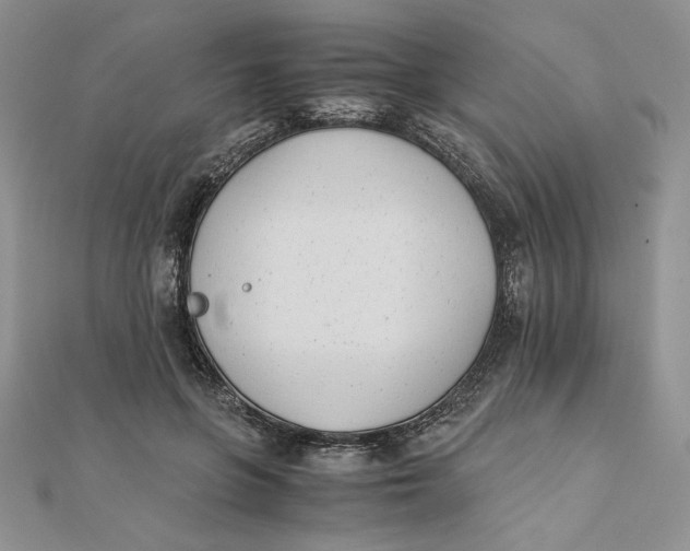 X0000111430551200908031334