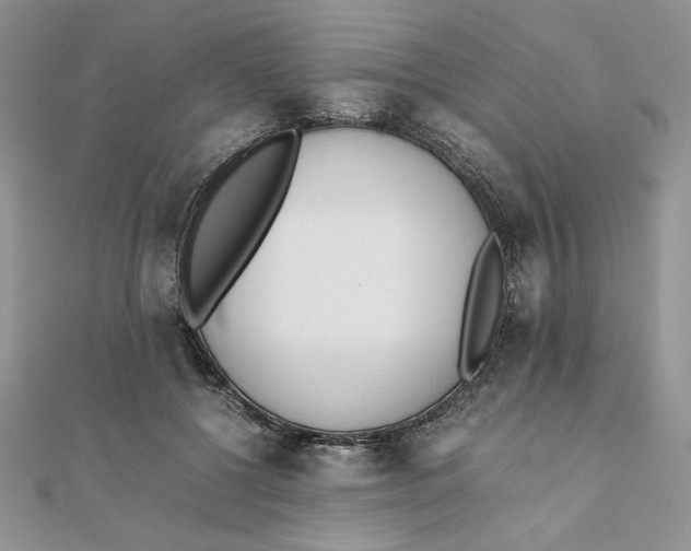 X0000111430552200908031334