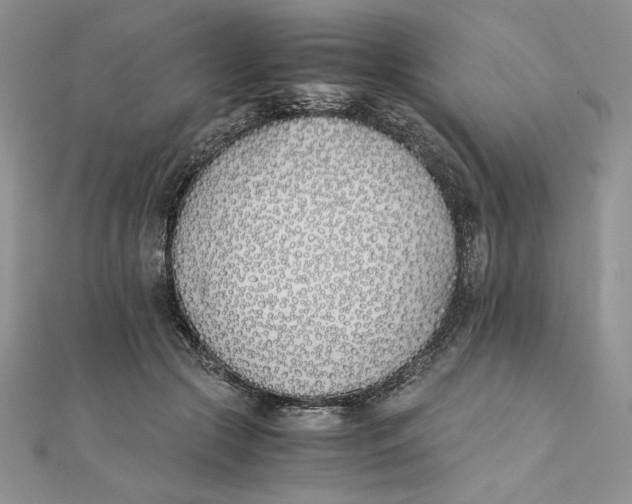 X0000111430553200908031334