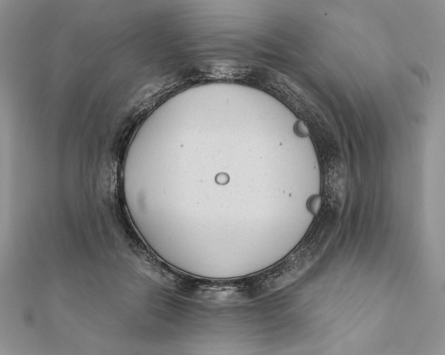 X0000111430554200908031334