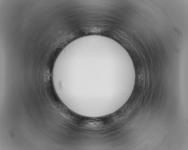 X0000111430555200908031334