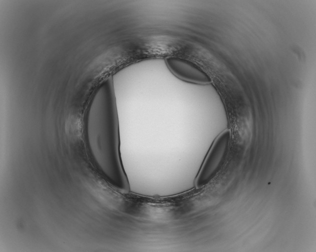 X0000111430556200908031334