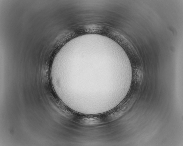 X0000111430557200908031334