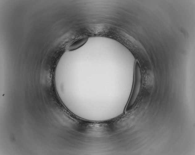 X0000111430558200908031334