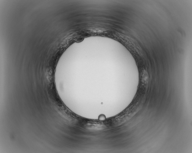 X0000111430559200908031334