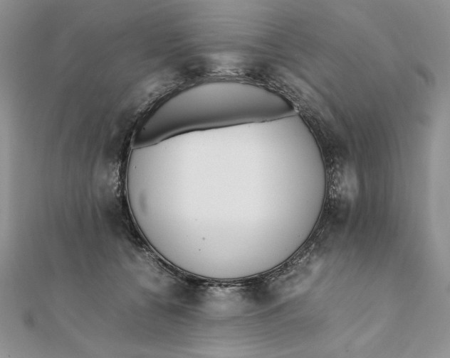 X0000111430560200908031334