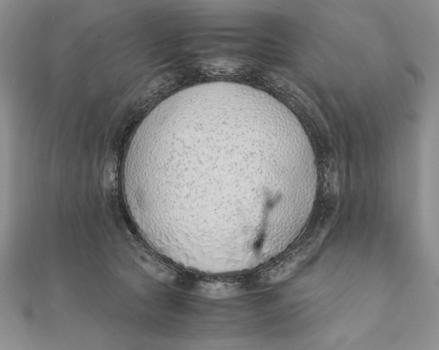 X0000111430561200908031334