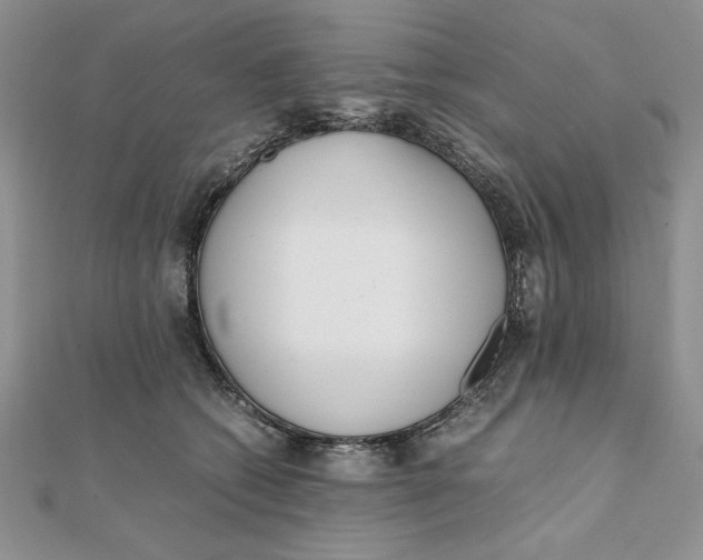 X0000111430562200908031334