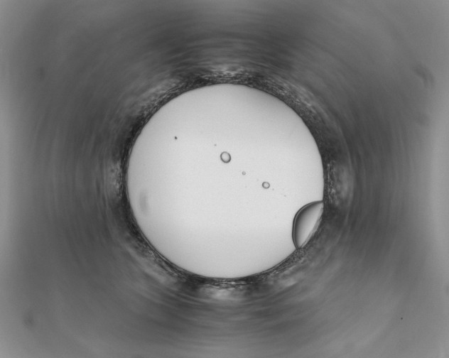 X0000111430563200908031334