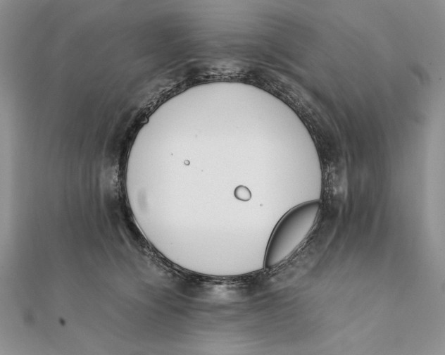 X0000111430564200908031334