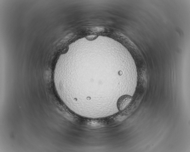 X0000111430565200908031334