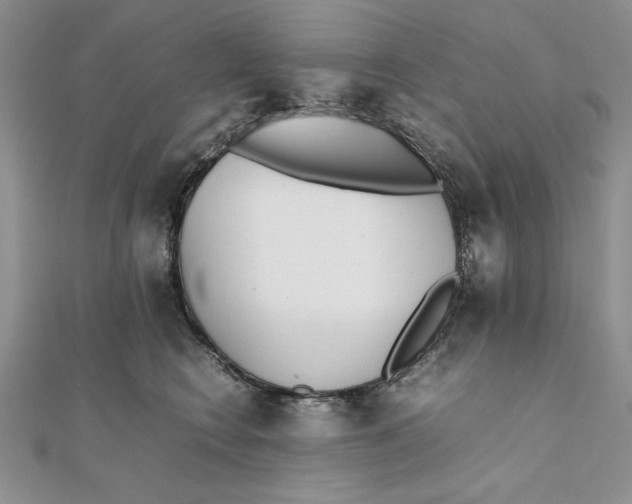 X0000111430566200908031334