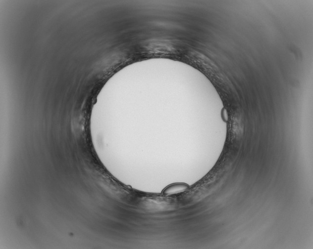 X0000111430567200908031334