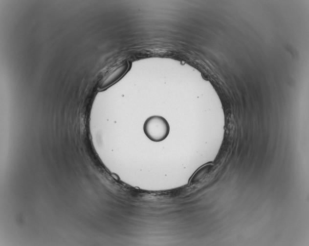 X0000111430568200908031334