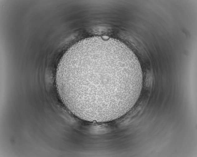 X0000111430569200908031334