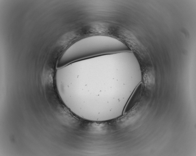 X0000111430570200908031334