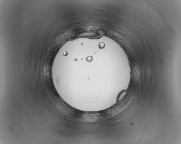 X0000111430571200908031334