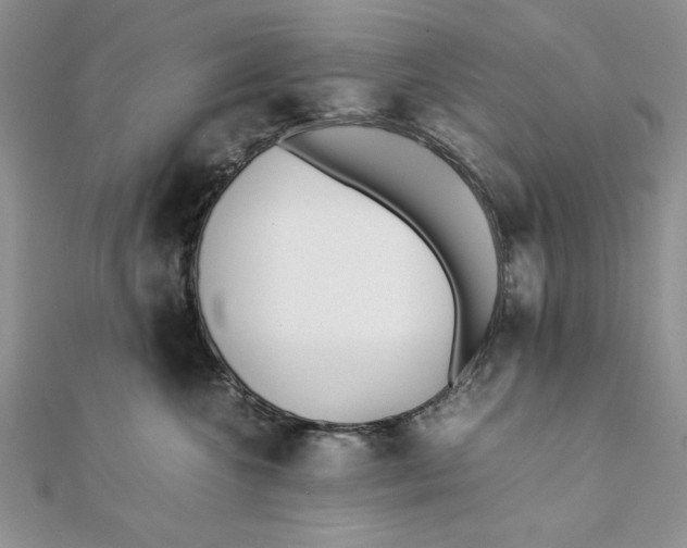 X0000111430572200908031334