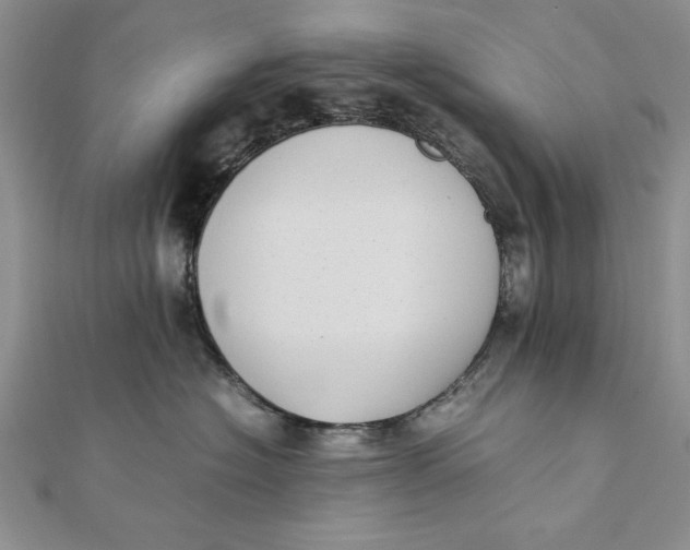 X0000111430574200908031334