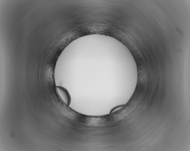 X0000111430575200908031334