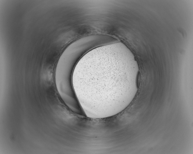 X0000111430576200908031334