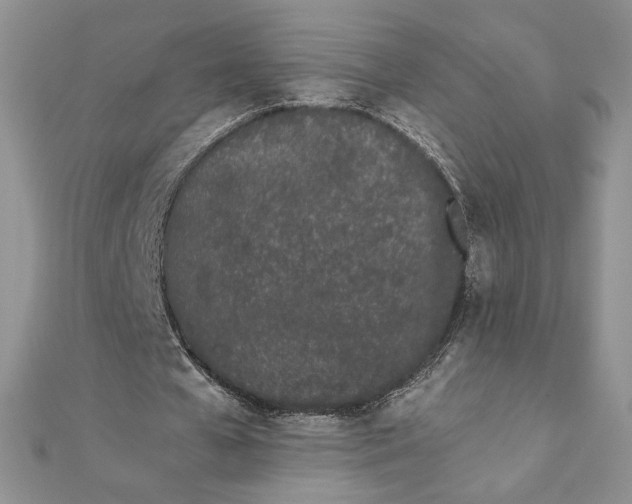 X0000111430577200908031333