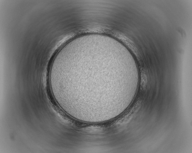 X0000111430578200908031333