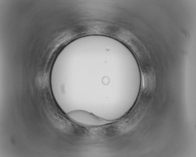 X0000111430579200908031333