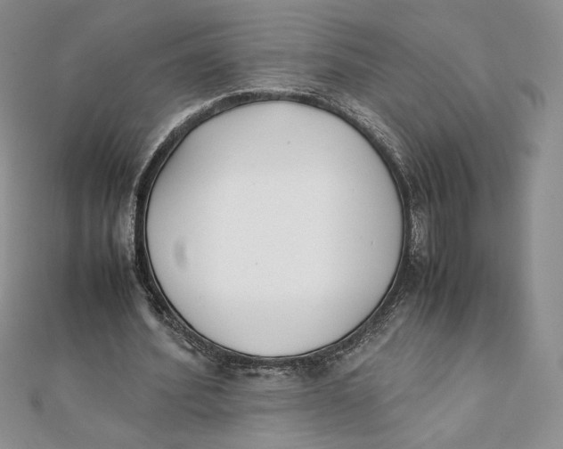 X0000111430580200908031333