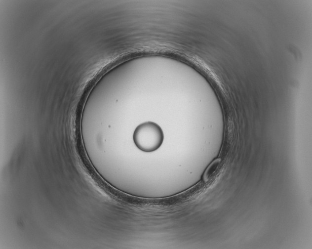 X0000111430581200908031333