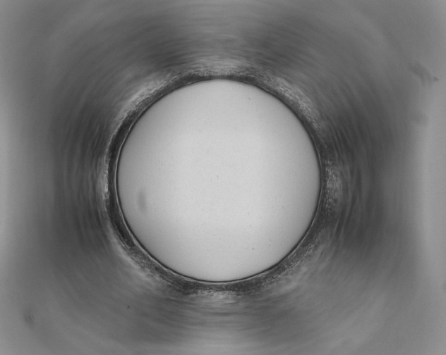 X0000111430582200908031333