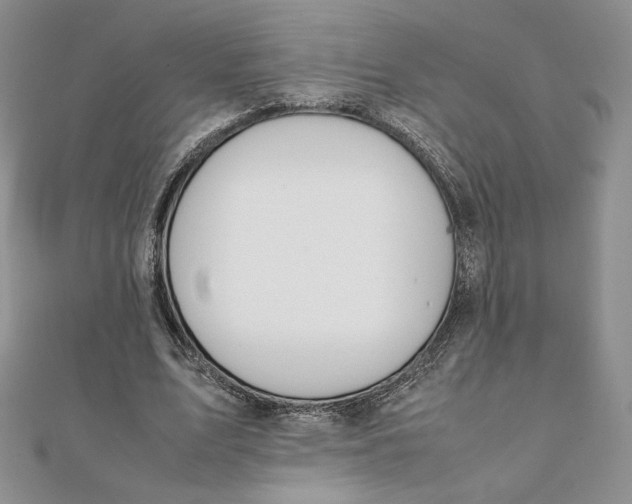 X0000111430583200908031333