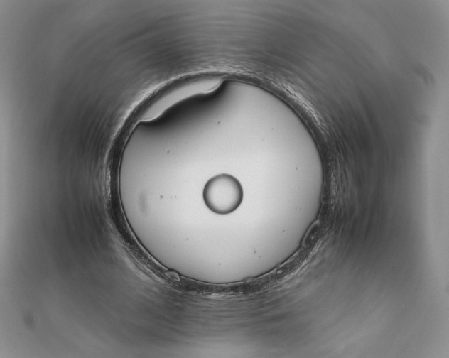 X0000111430584200908031333