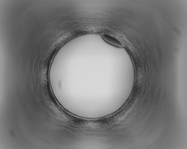 X0000111430585200908031333