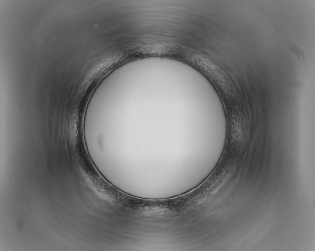 X0000111430586200908031333