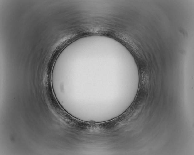 X0000111430587200908031333