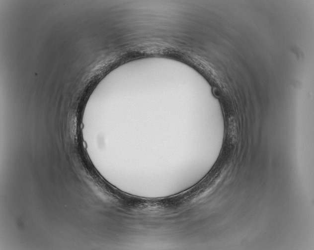 X0000111430589200908031333