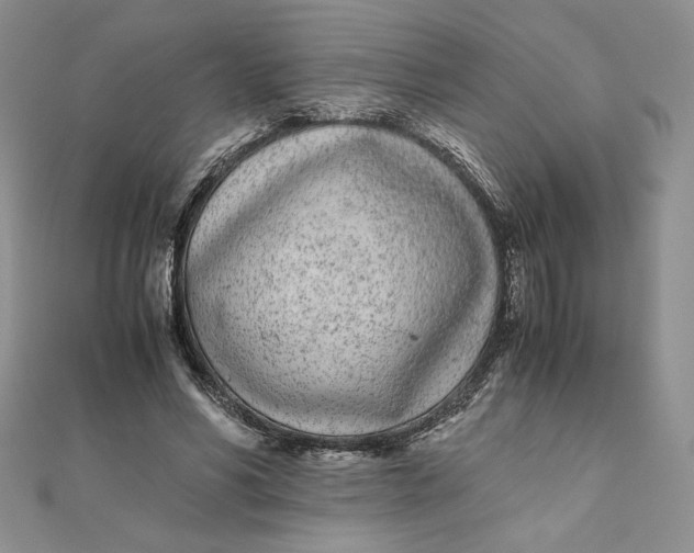 X0000111430590200908031333