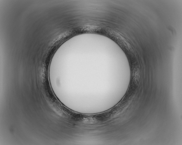 X0000111430591200908031333