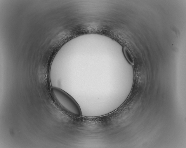 X0000111430593200908031333