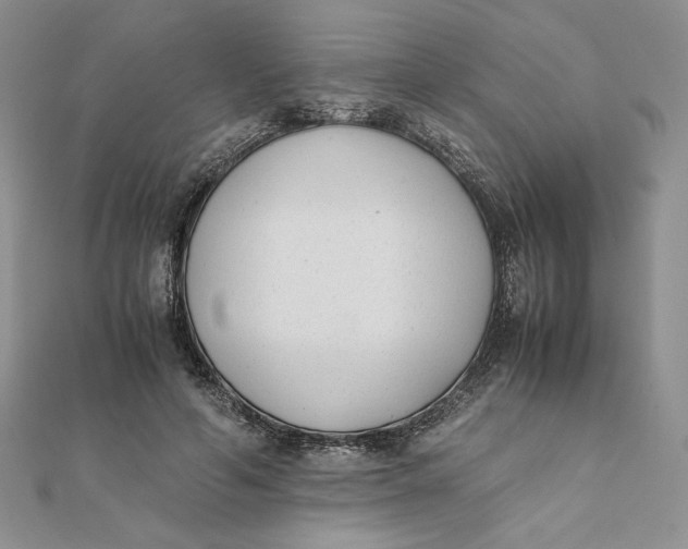 X0000111430594200908031333