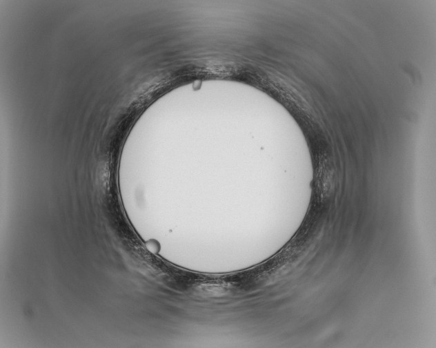 X0000111430595200908031333