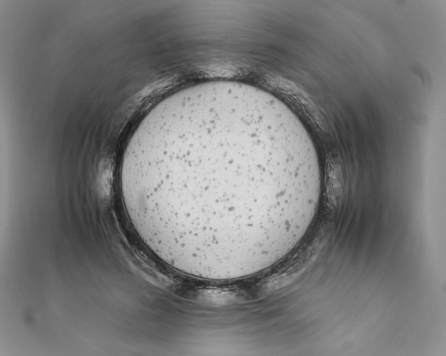 X0000111430596200908031333