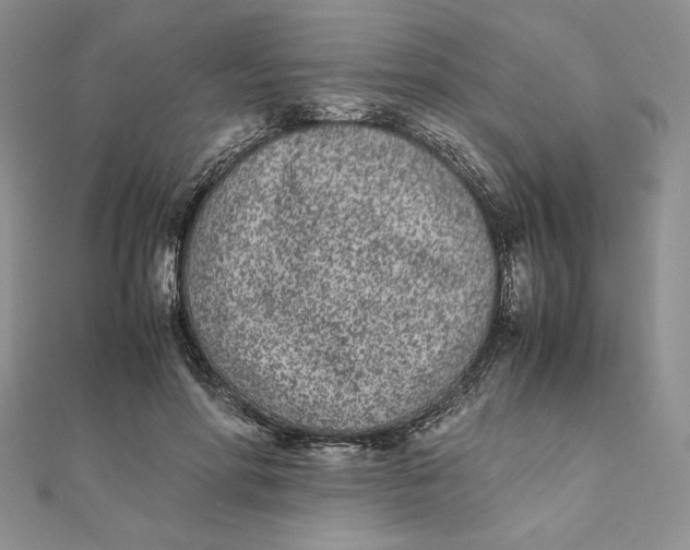 X0000111430598200908031333