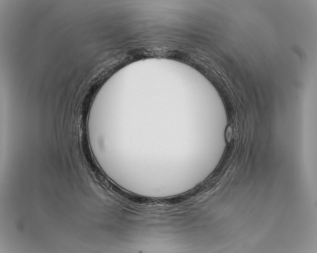 X0000111430599200908031333