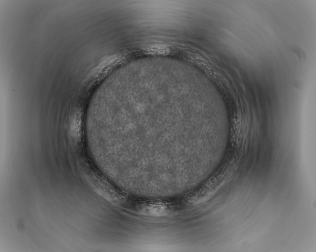 X0000111430600200908031333